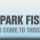 Lower Park Fisheries